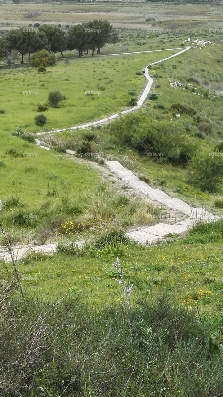 sentiero , scalinata