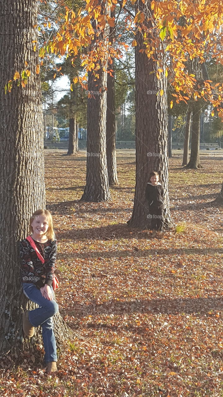 A Beautiful Fall Day