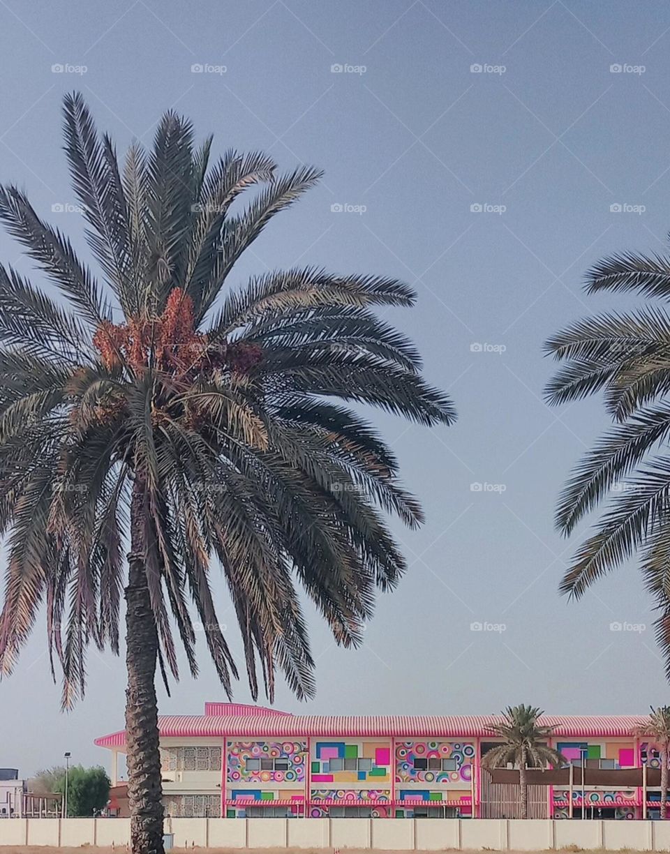 Rainbow color design