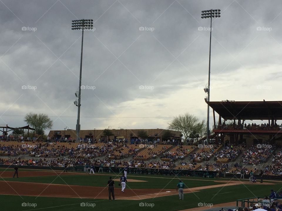 Baseball spring training 