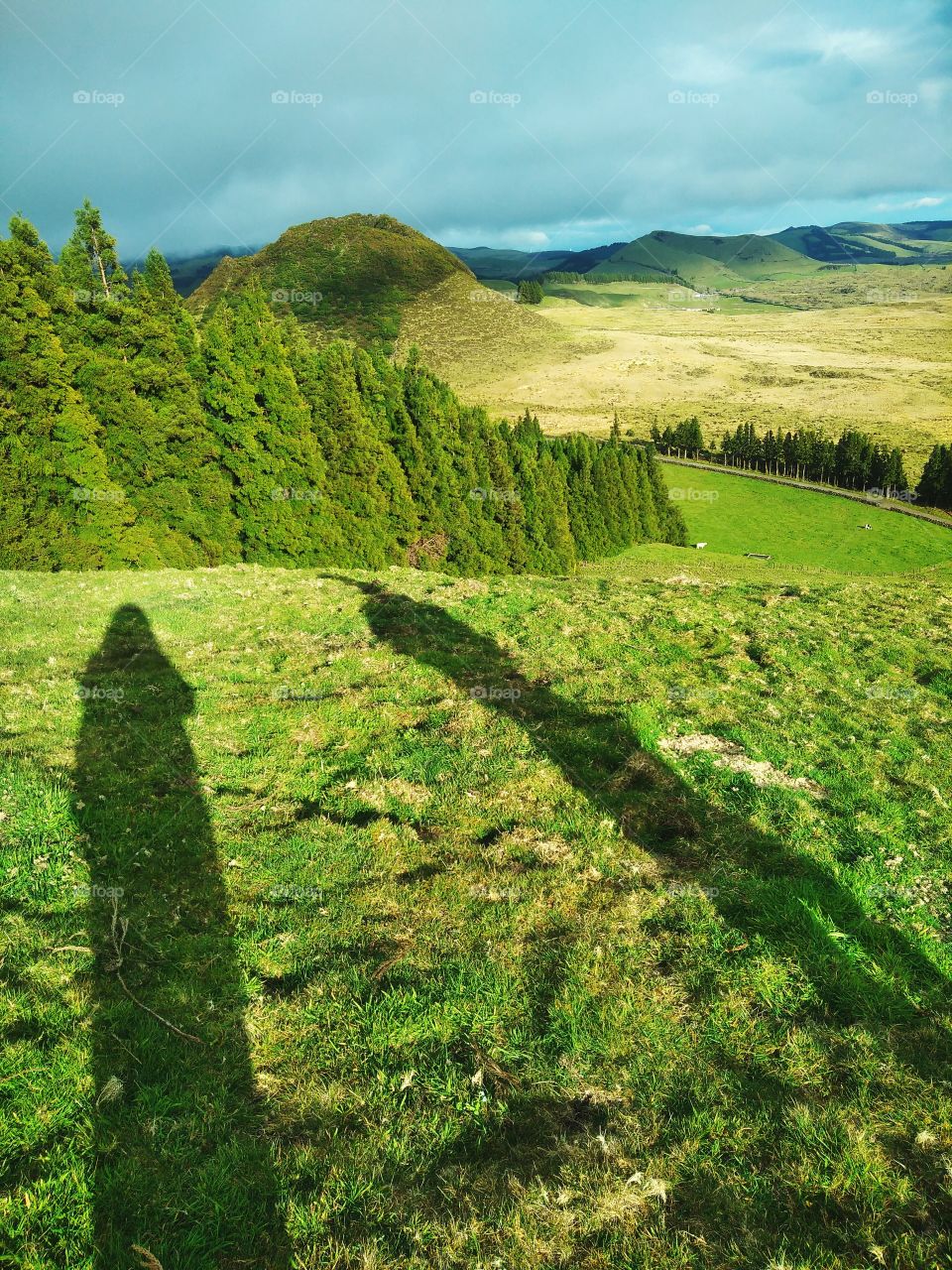 Shadows of hikers on a field