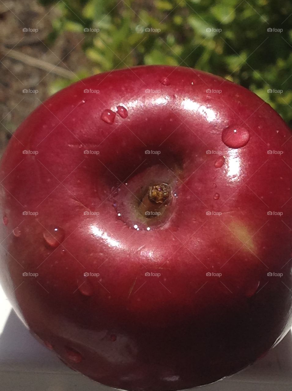 A close up shot of a red delicious apple. 