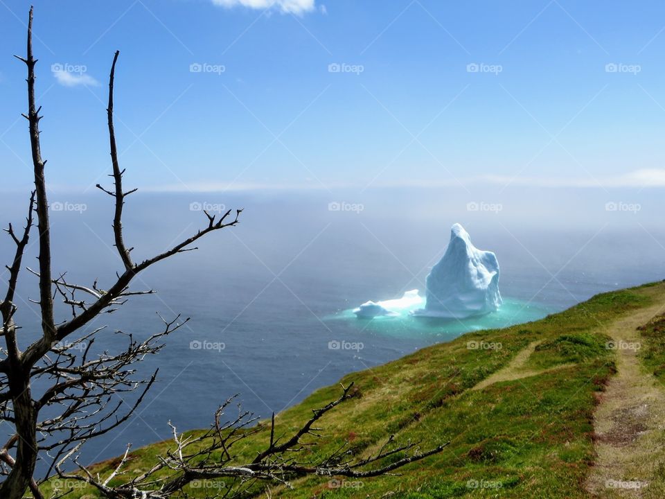 iceberg floating along the Skerwink Trail beside the rugged coast of Newfoundland