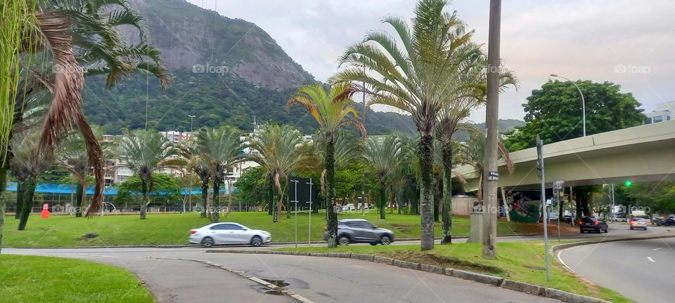 Lagoa Rodrigo de Freitas