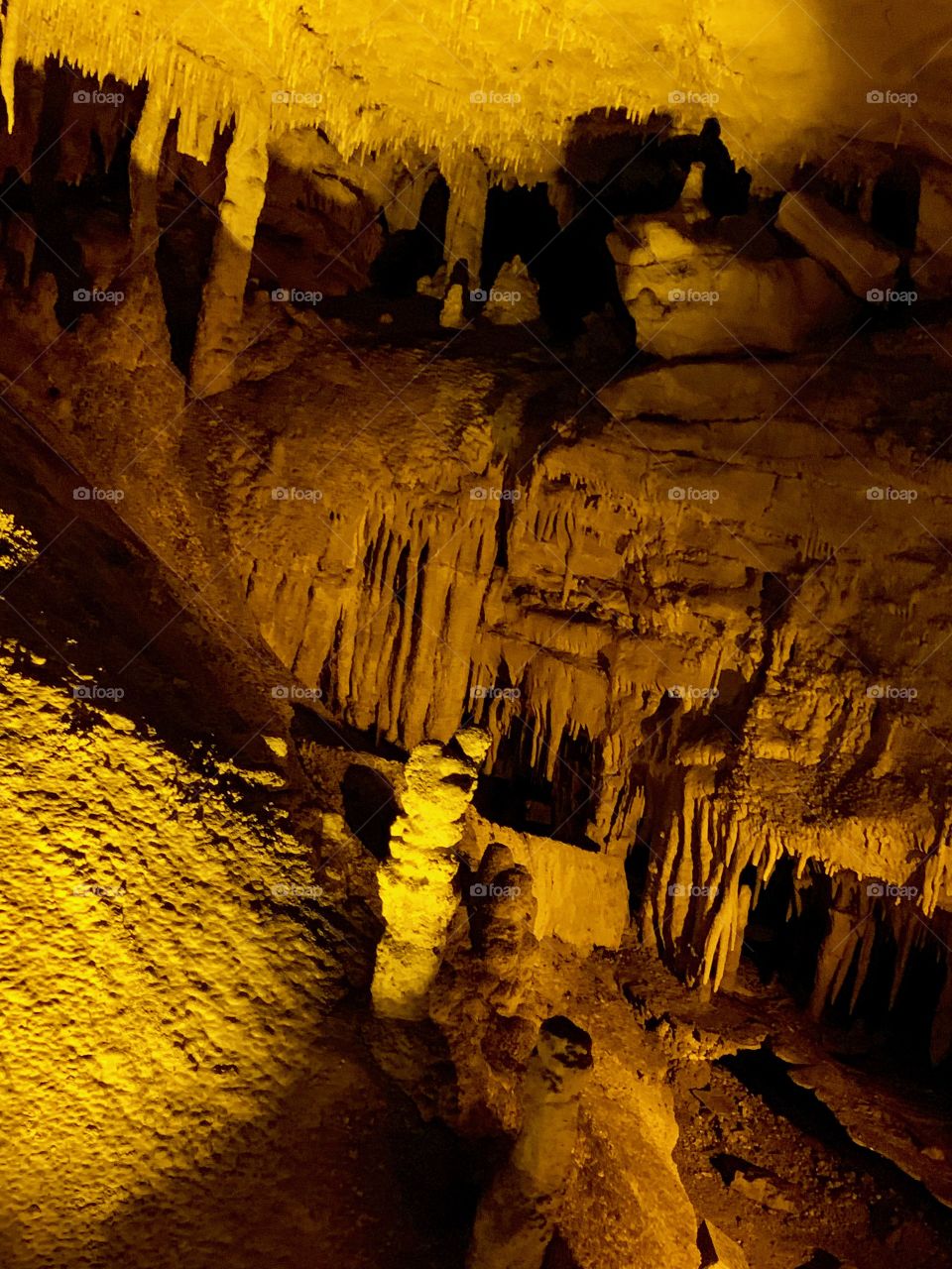 Mammoth Cave national Park
