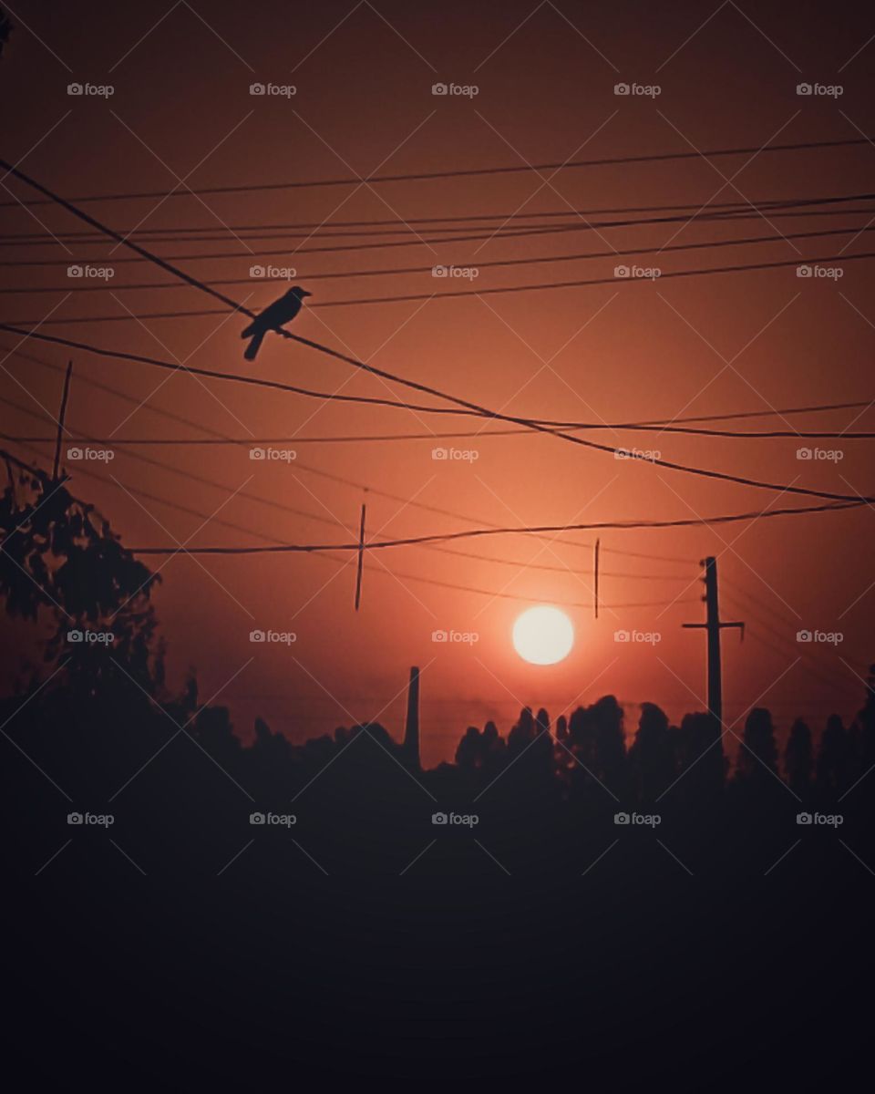 # sunset# beautiful# nature