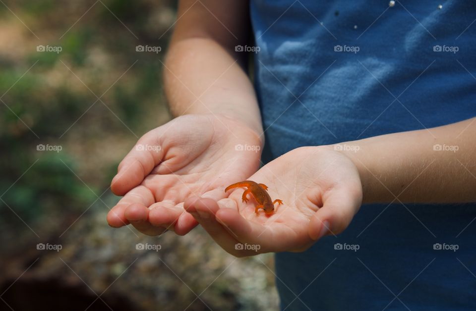 Child with newt in hand