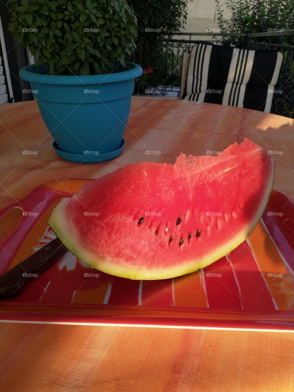 watermelon