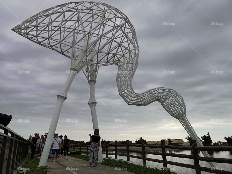 beautiful white bird creation that captures the moment