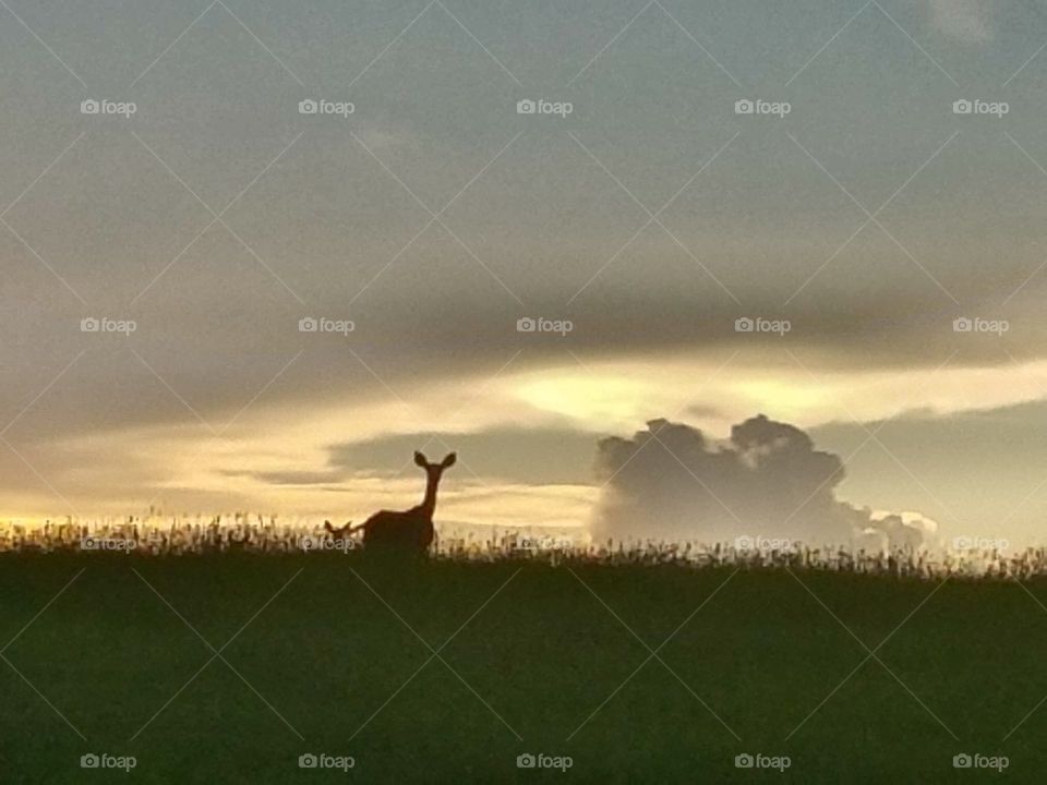 Driving the Back Roads and enjoying everything around us