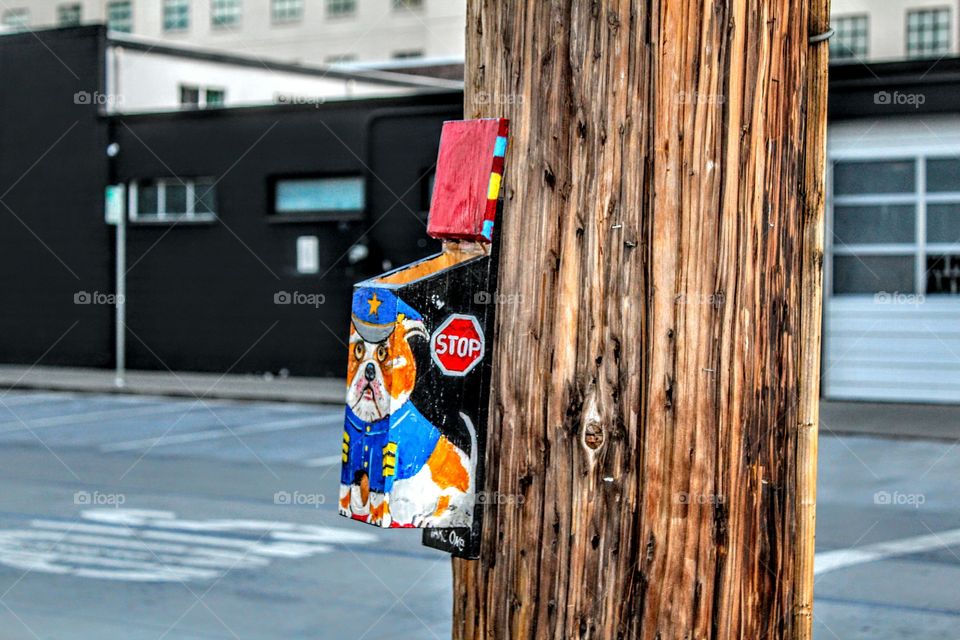 painted wooden box on a telephone pole in downtown Sacramento California