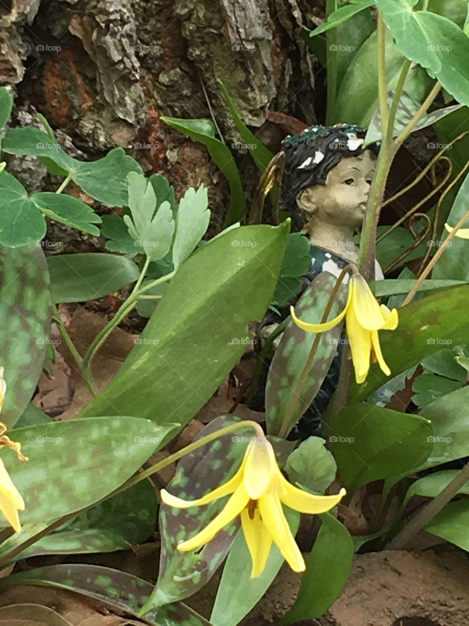 Elf boy hidden among flowers