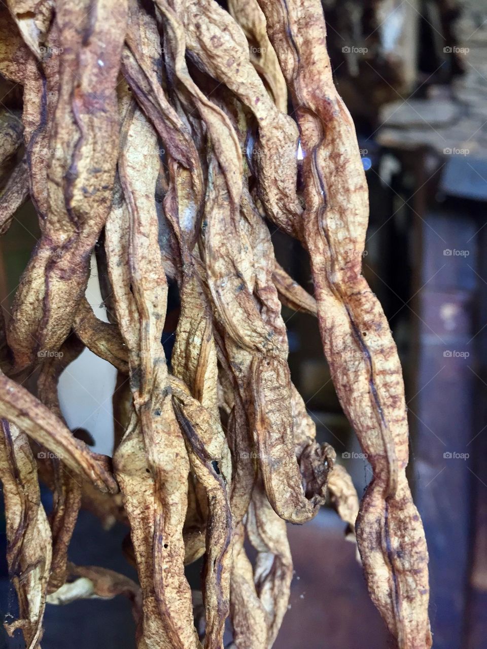 Dried beans