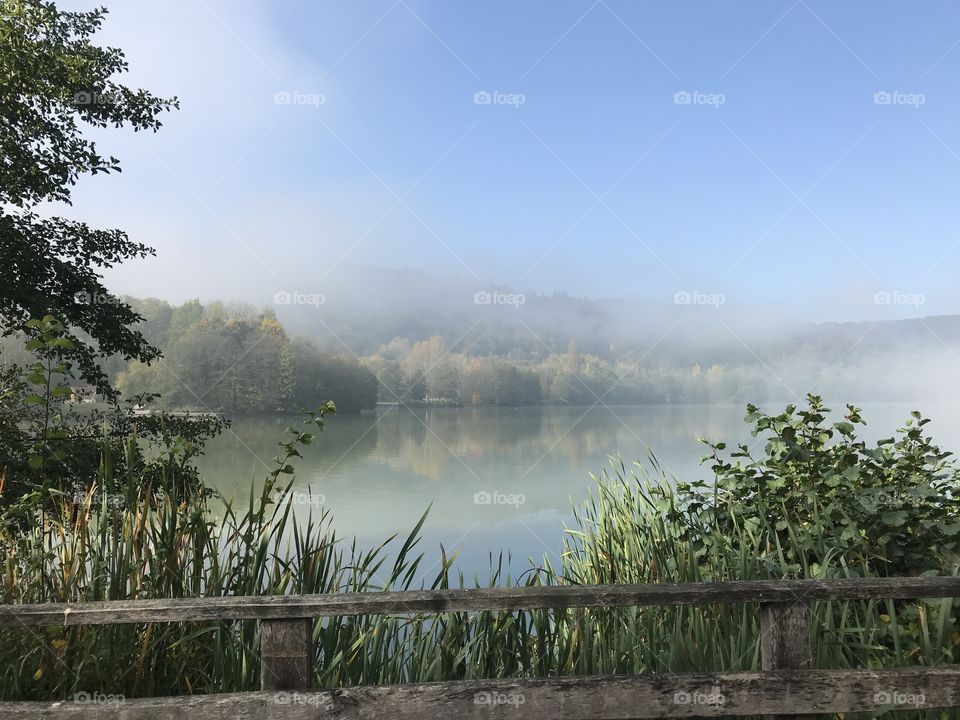 Summer morning in the forest lake 