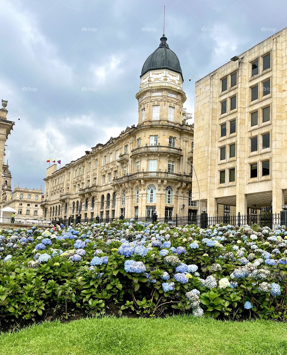The garden of a classic building- architecture 