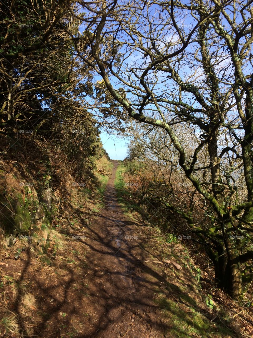 Light at the end of the natural tunnel 