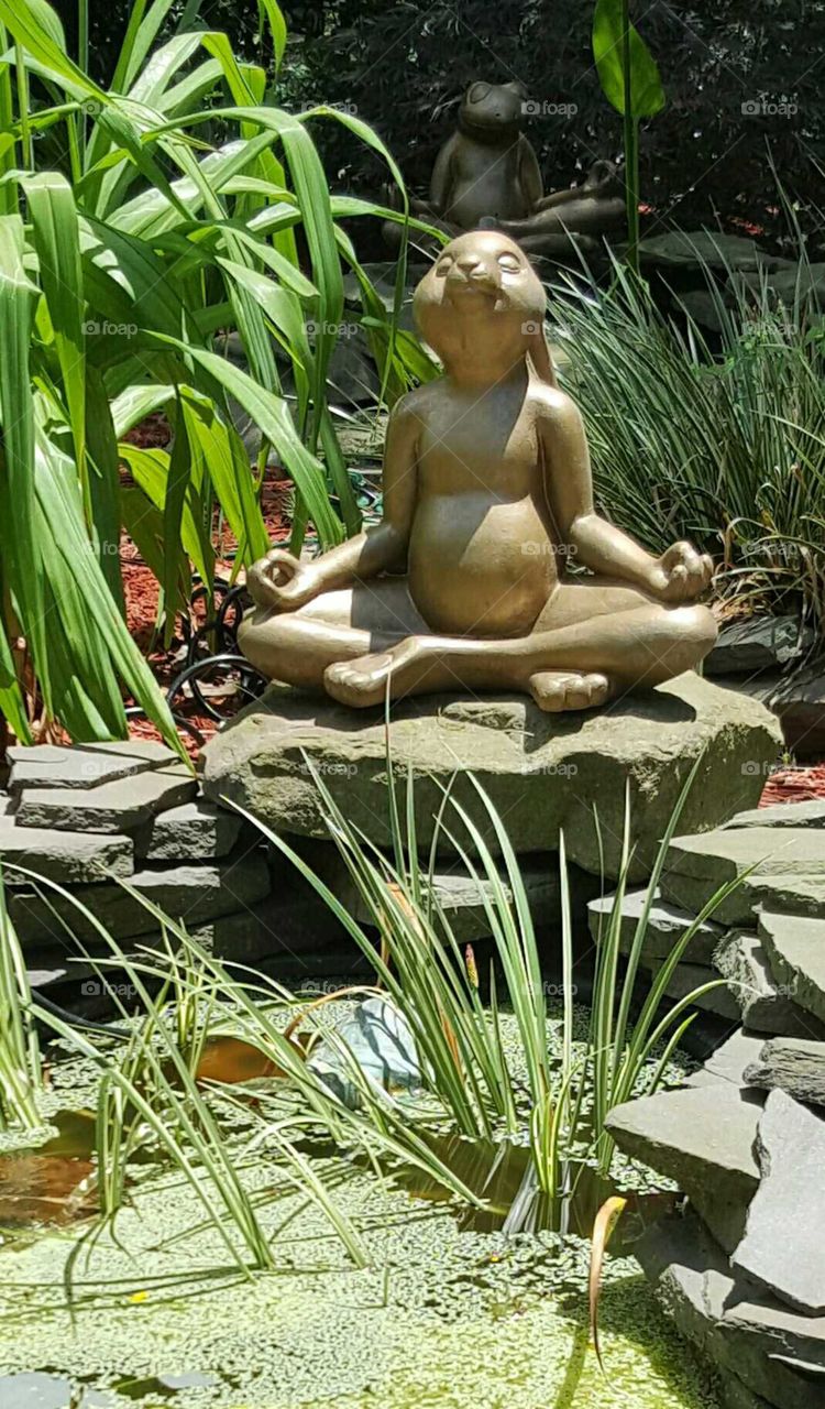 Meditation Garden