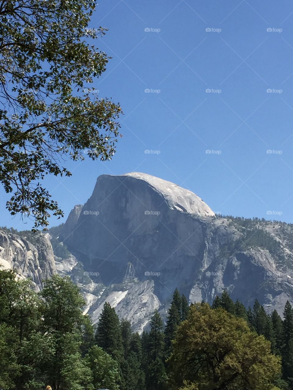 Half dome at the yosemite