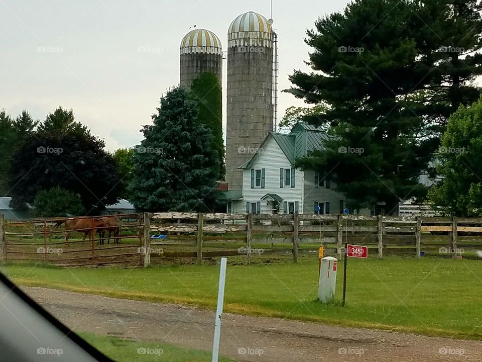 Driving the Back Roads and enjoying everything around us