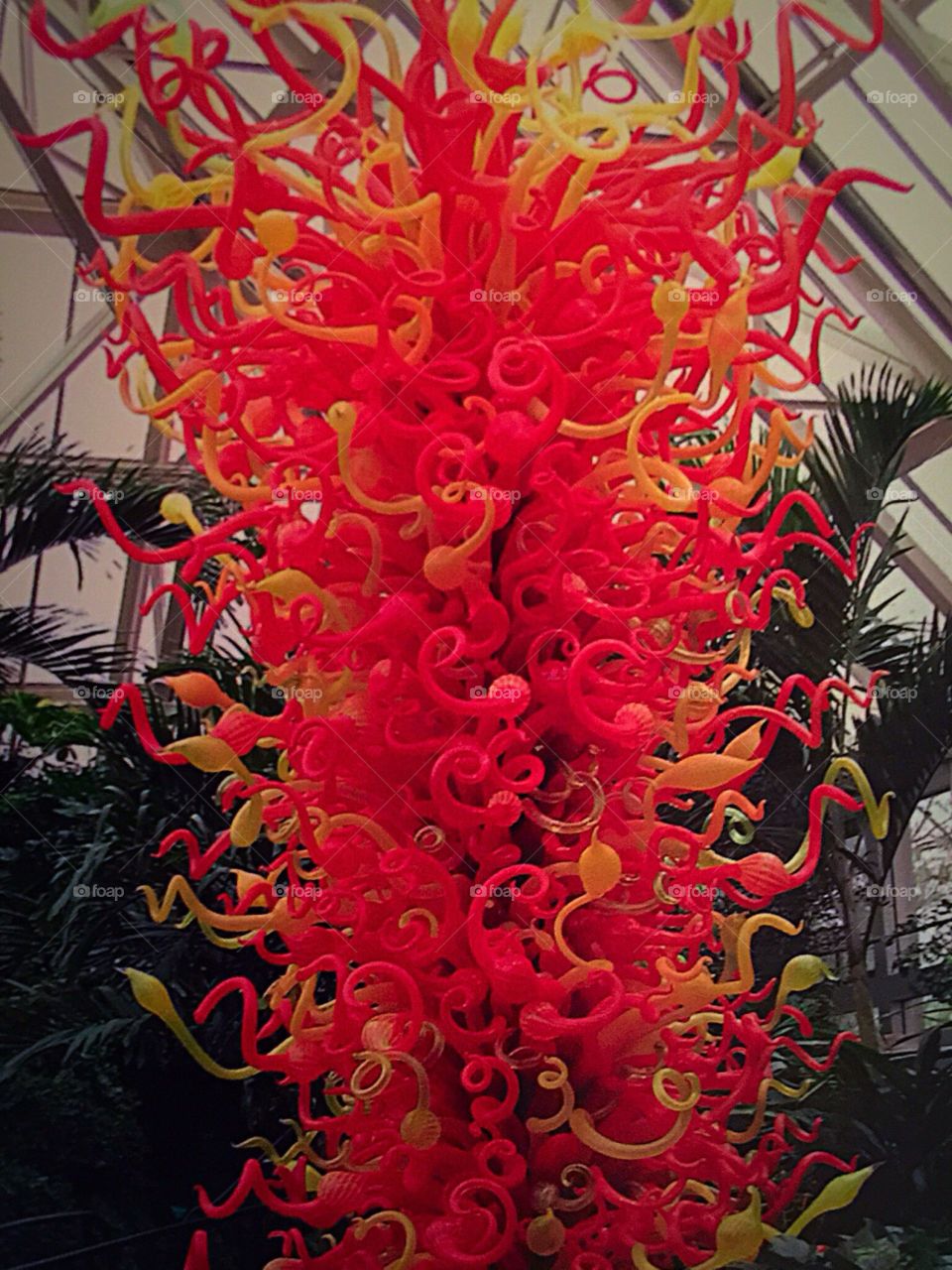 Red Chihuly Glass