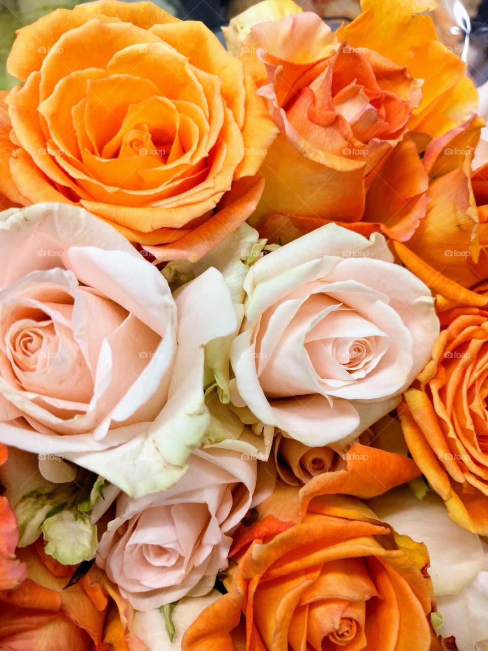 orange and cream roses bouquet