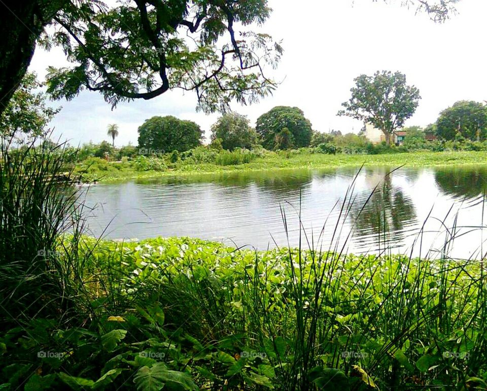 A countryside snapshot. capturing a perfect reflection.