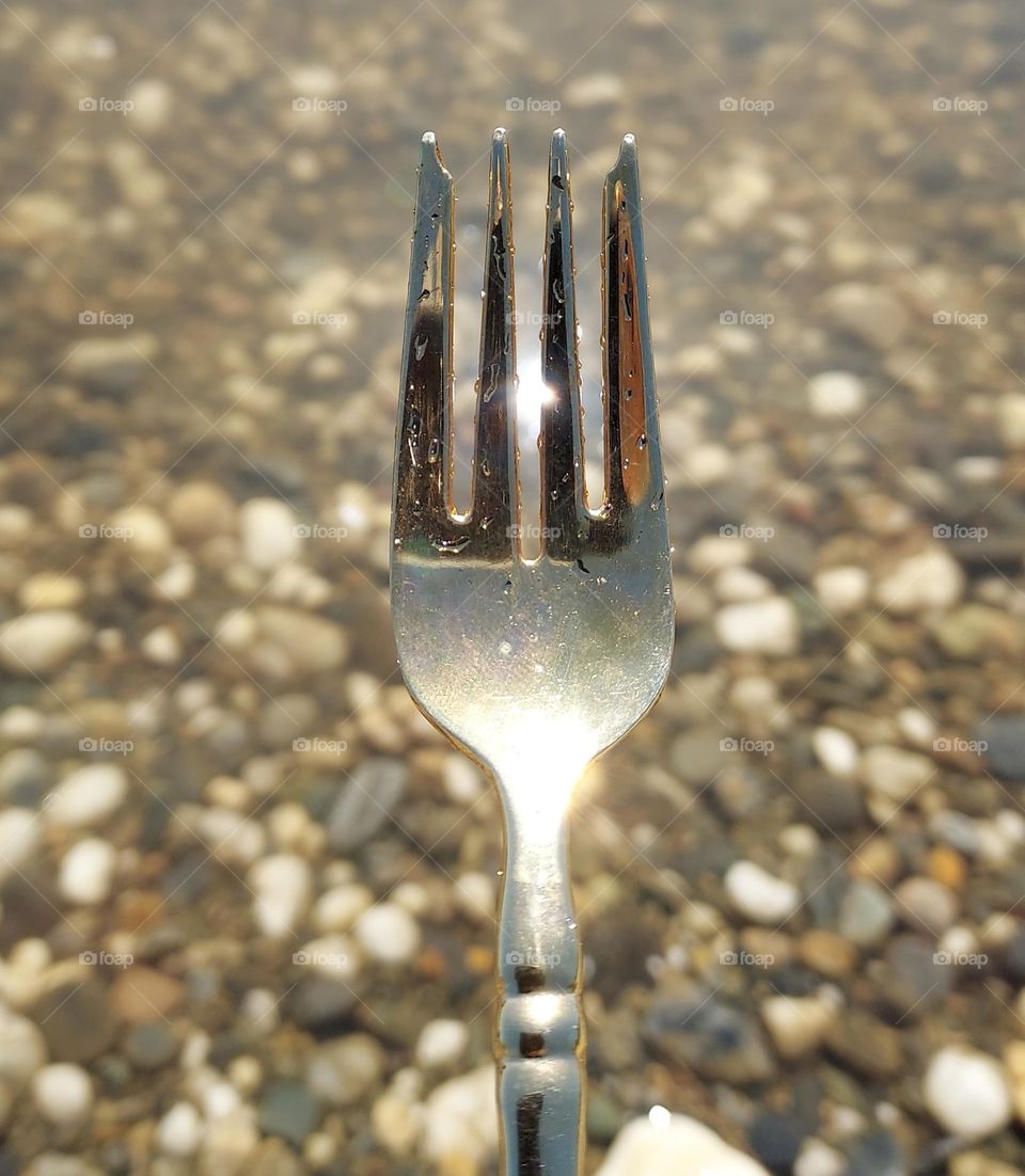 nature fork,  down by the river side in the great outdoors