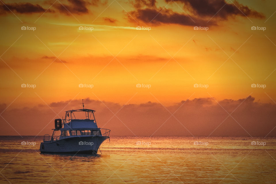 Tucked in for the night