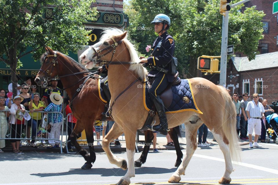 People, Cavalry, Competition, Parade, Man