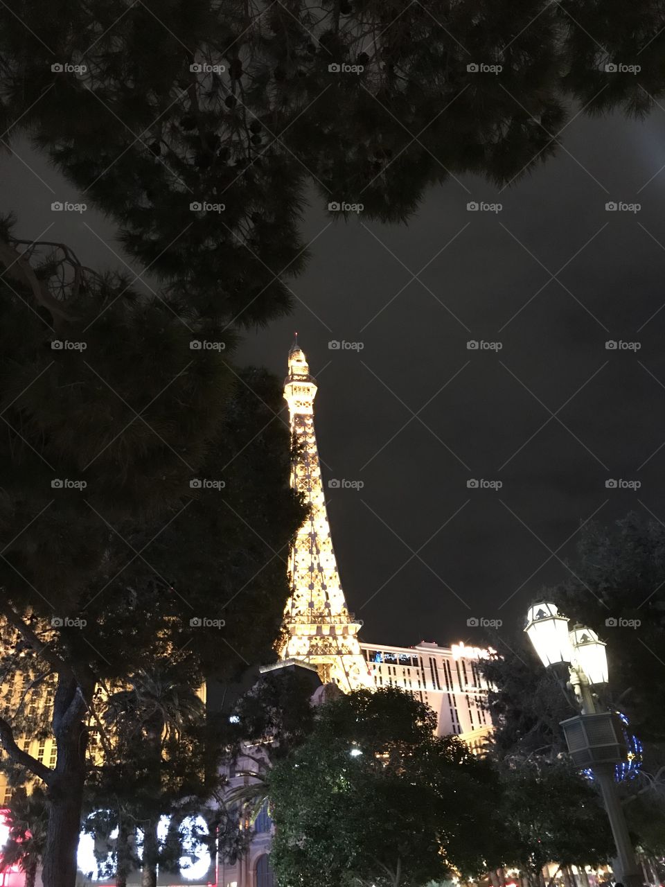 Paris Las Vegas 