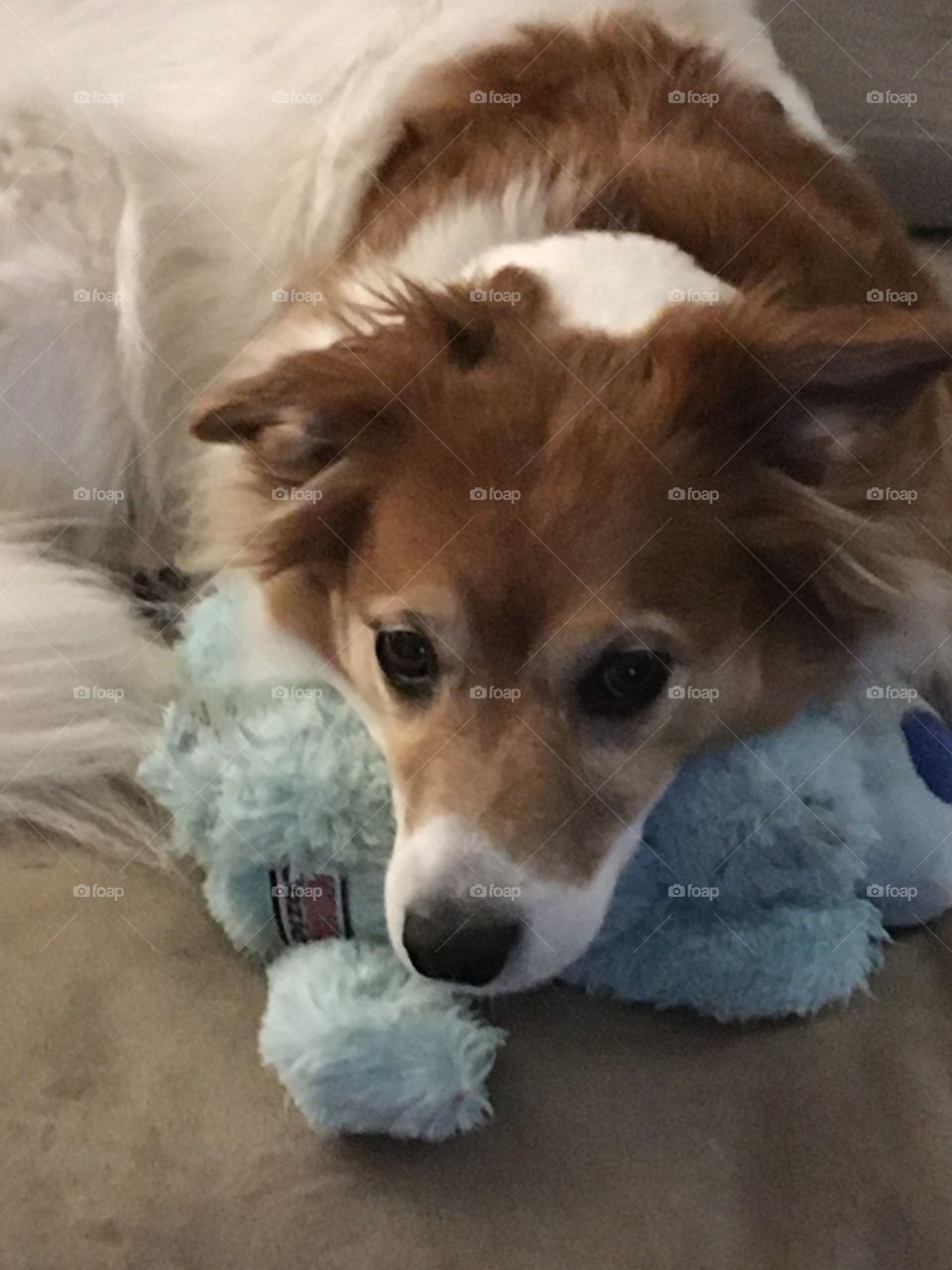She loves her stuffy