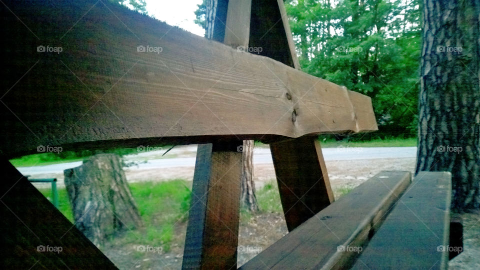 bench in the forest