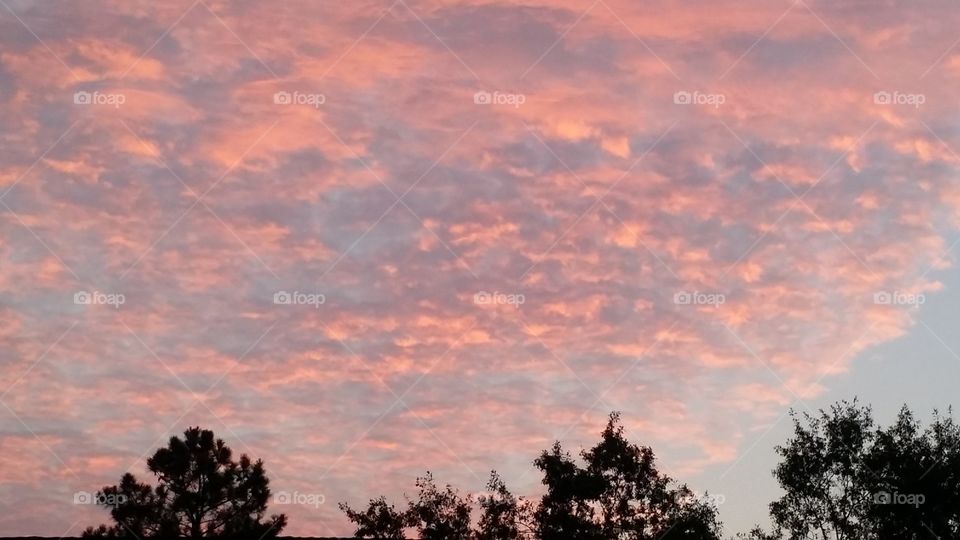 Pink and blue sky. Shortly after a rain the sky looked like this.