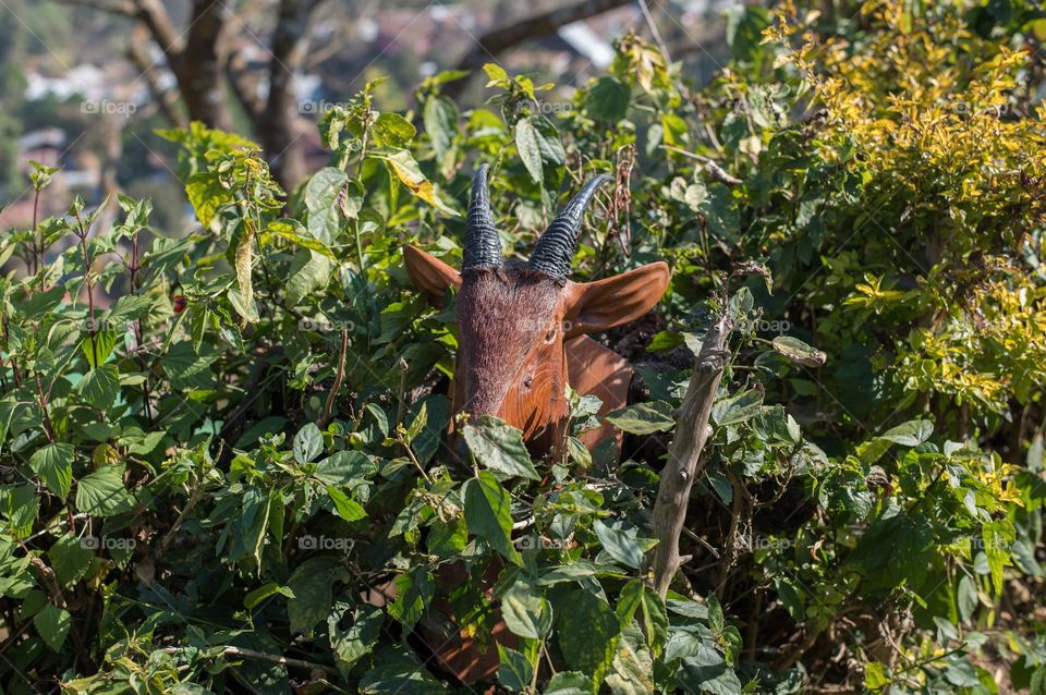 A deer head carved out of wood