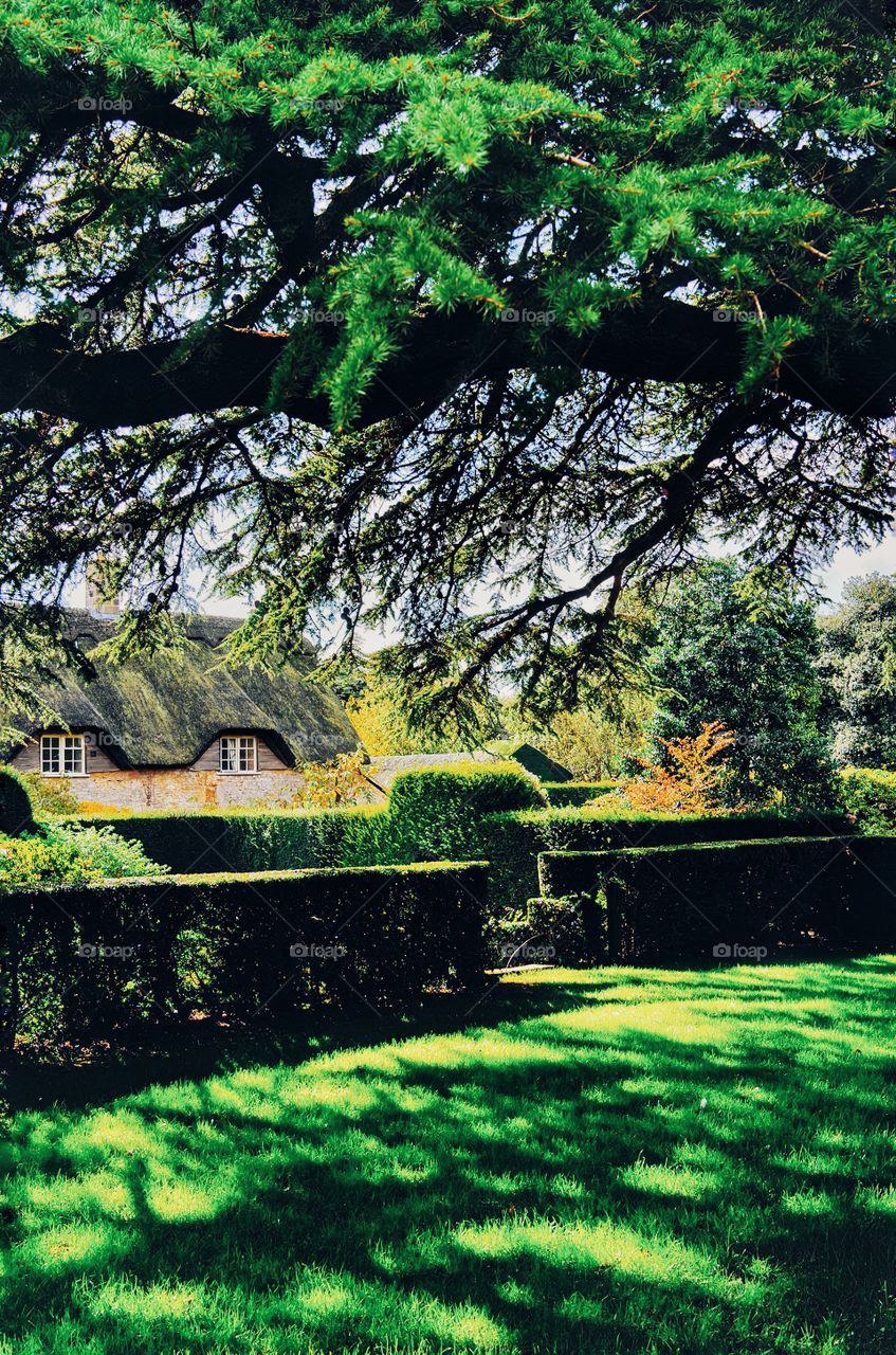 Cottage. Garden 