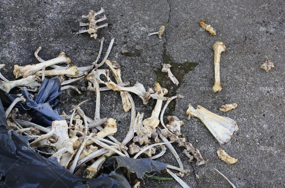 Bones on the ground, Life garbage