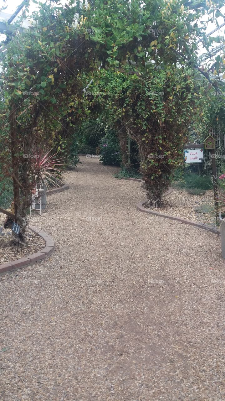 Garden walk path