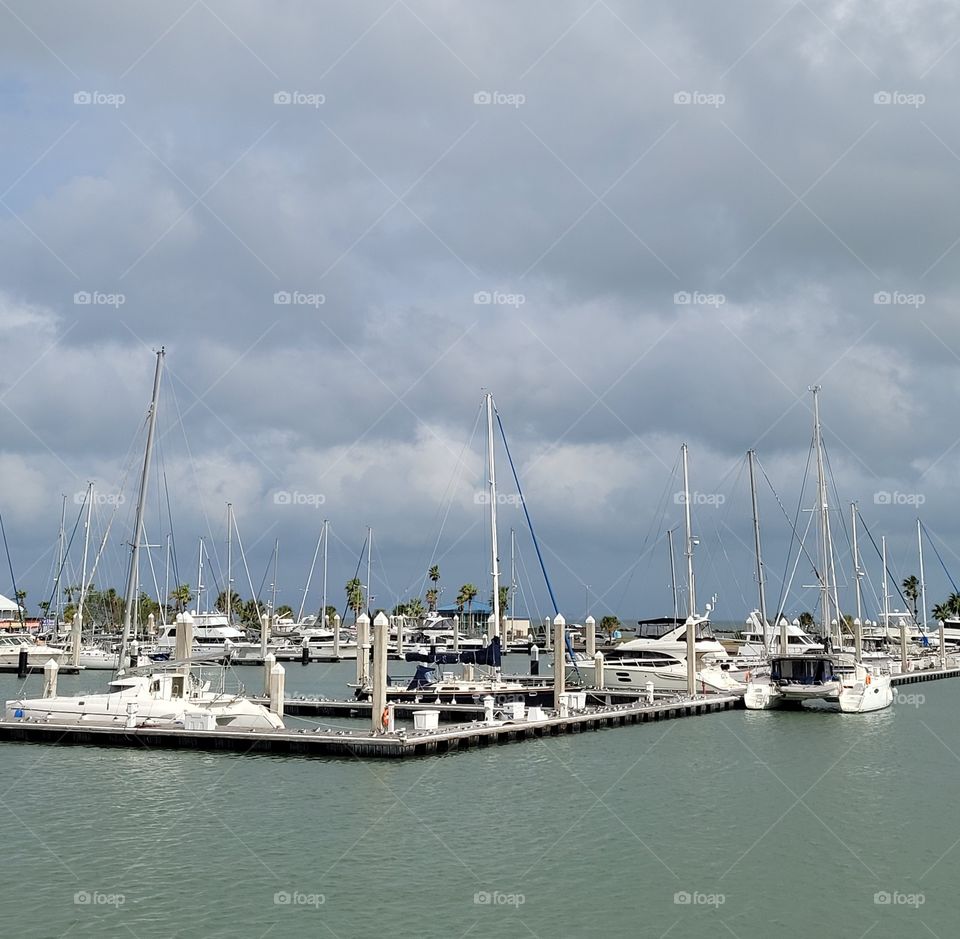 Corpus Christi marina