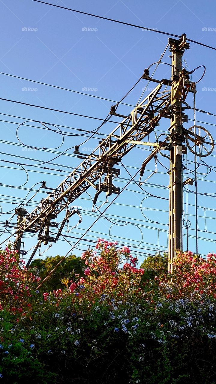 Railway electricity tower.
