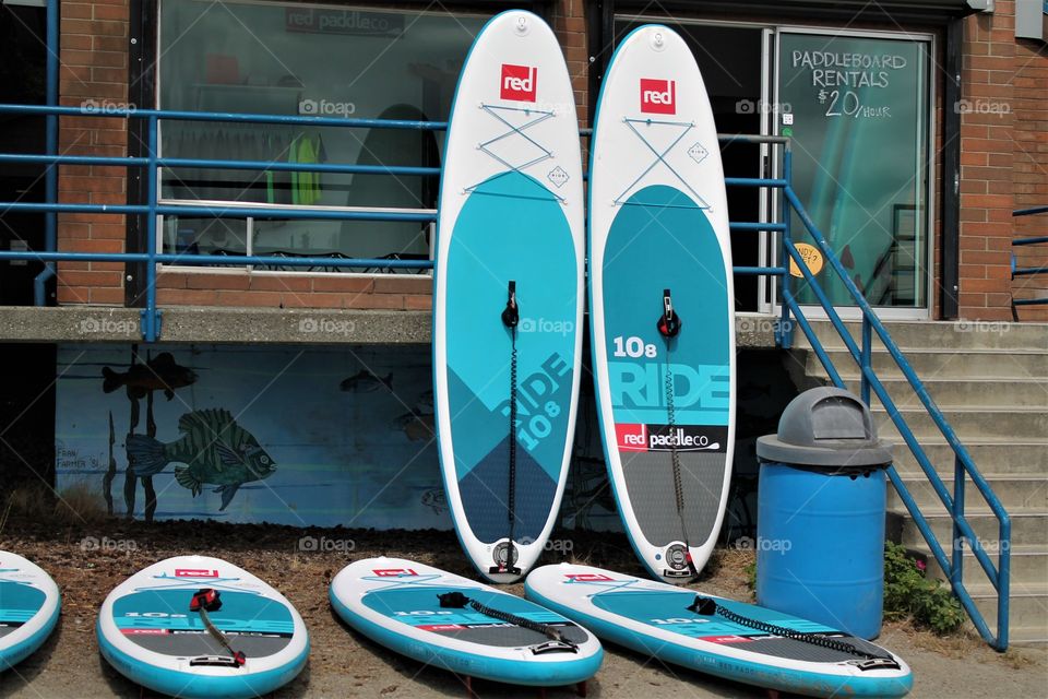 paddle board rental