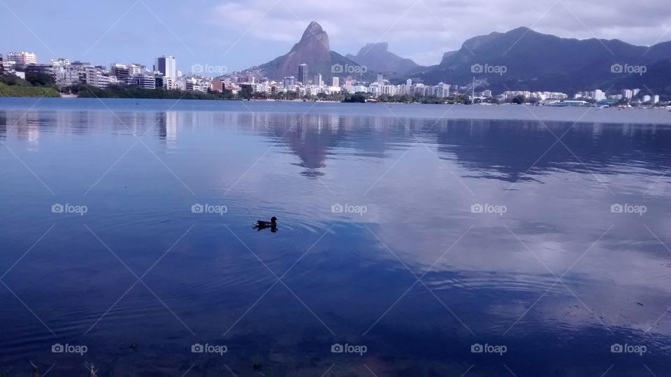 Lagoa Rodrigo de Freitas