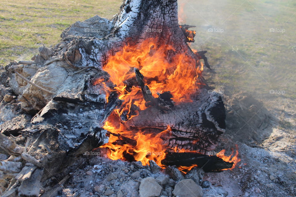 stump on fire