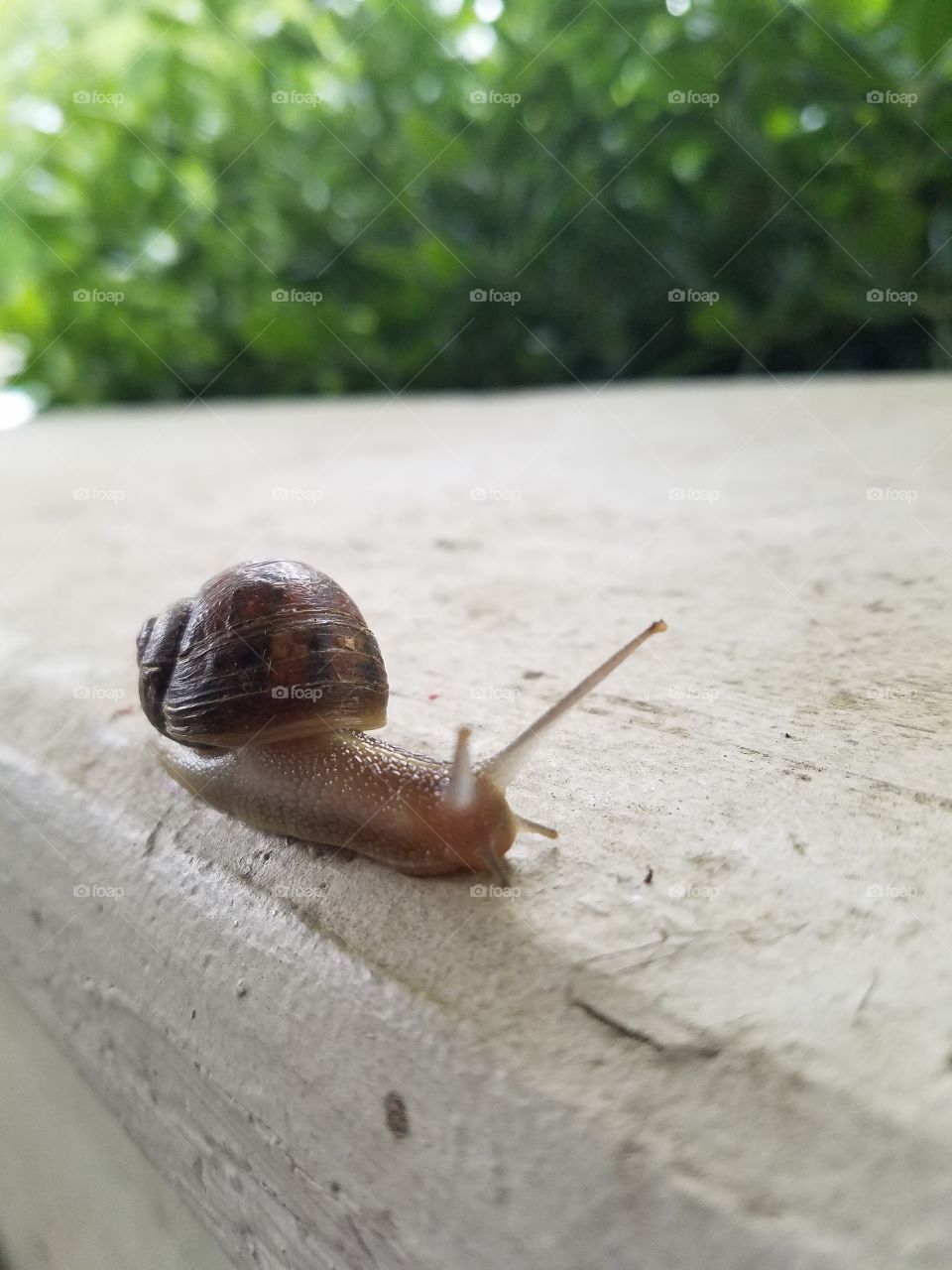 How slow can you go? He's sneaking around my porch!