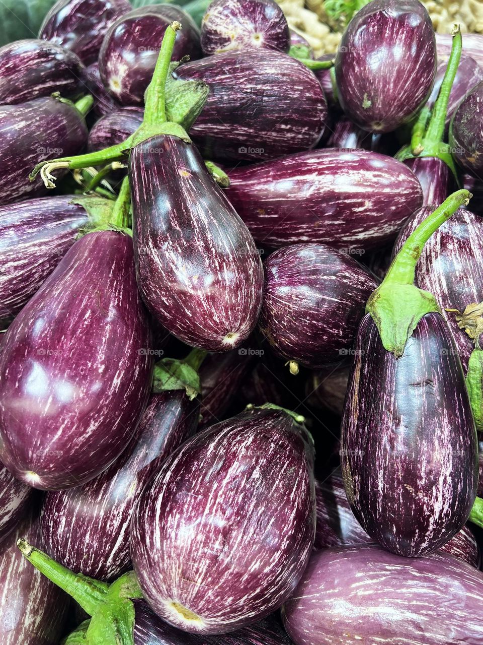 Eggplants shot close-up. Background