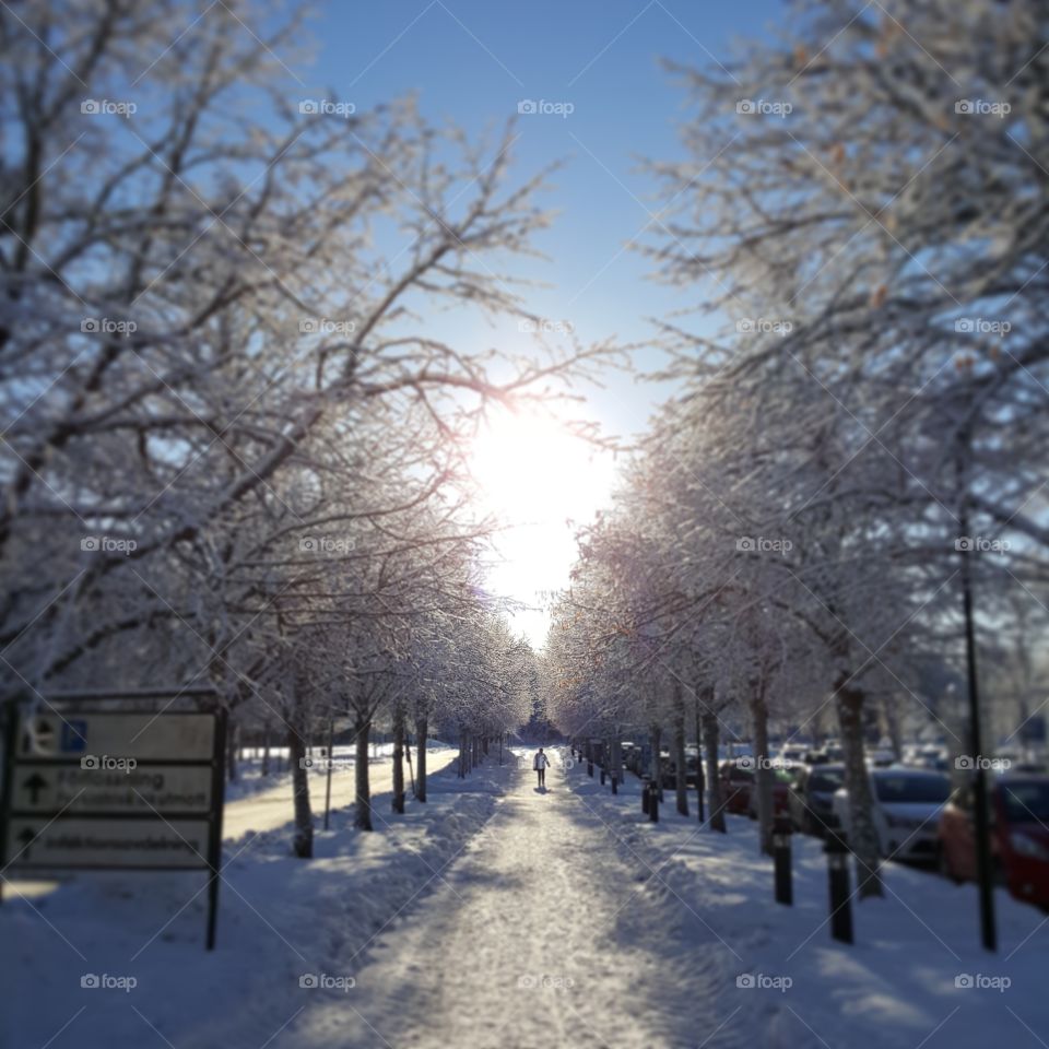 Walk in to the light