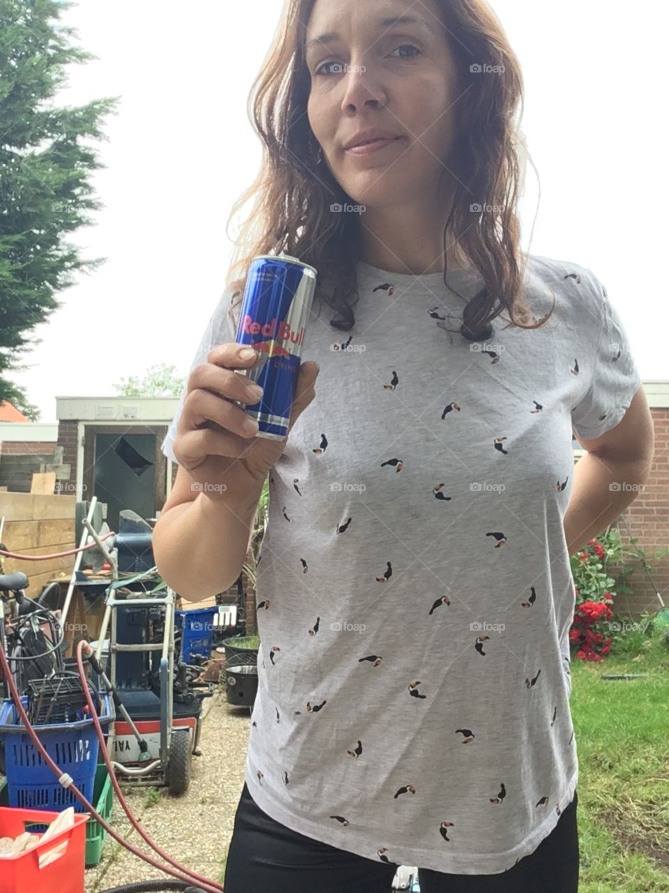 Redbull drinks backyard 