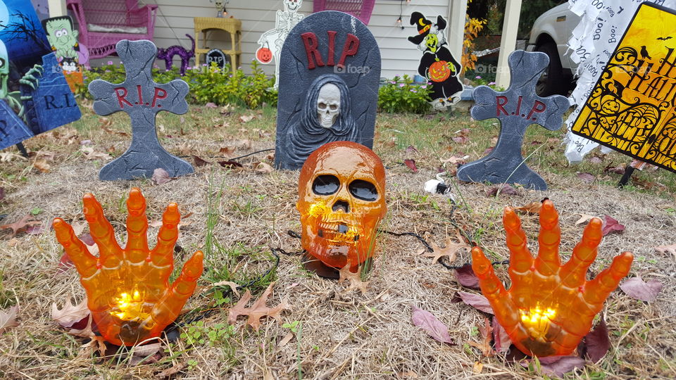 Halloween Skull. Halloween Skull