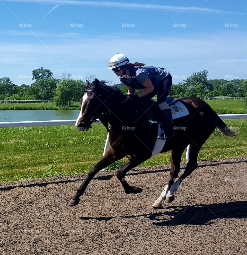 morning gallop