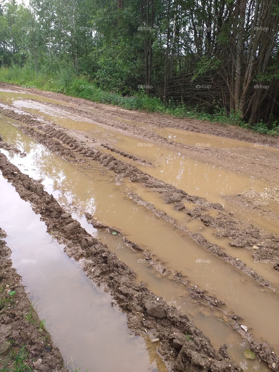 деревенская дорога