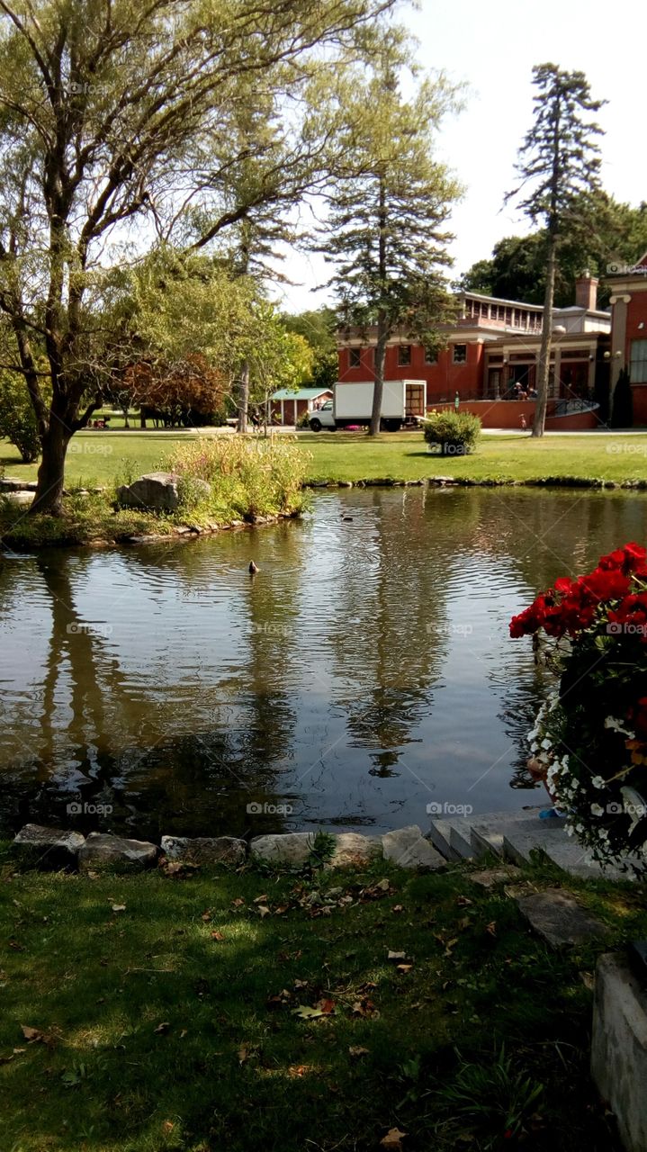 Beautiful Day at Congress Park